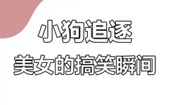 新老乞丐交流经验